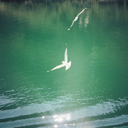 MRD - Let Her Go