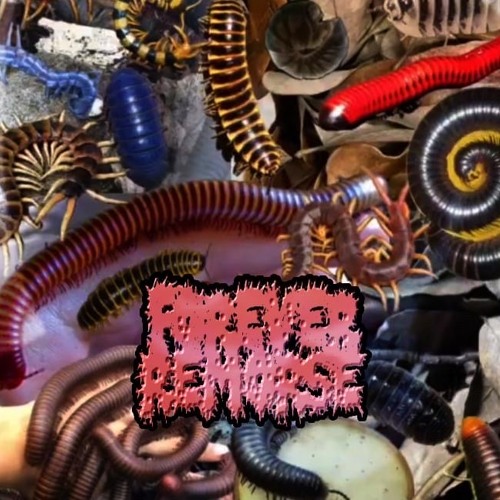 2. putrid