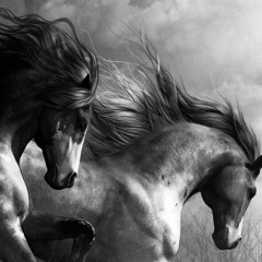 Wild Horses - The Rolling Stones (cover)