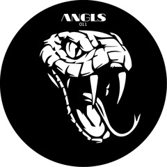 ANGLS 011 Preview