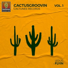 Leduc - Flyin
