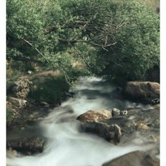 محسن نامجو بگو بگو.mp3