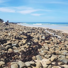 Oh you should have known it