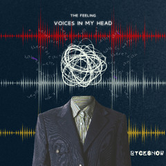 Amelie Lens, Massano - Voices in My Head x The Feeling (RyckShow TECHNO mashup Bootleg)