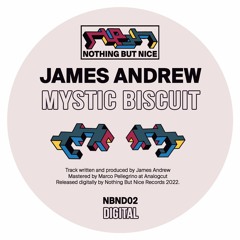 James Andrew - Mystic Biscuit [NBND02 Digital Release]