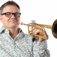 there's definitely not a trumpet solo at the end (prod. lampshade)