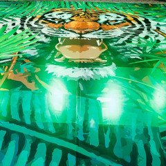 Ecstatic Dance Kalani, Hawaii 11.17.24