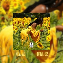 African Zouk X Afrobeat instrumental (Emotional zouk beat) Flower 2023