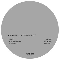 Ildec & Matole - Voice Of Tempo