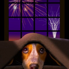 Fireworks Fucking Suck (According To 8 Out Of 10 Cats)