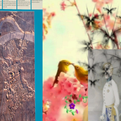 Should Have Worn Armor