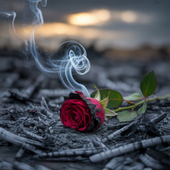 Ashes Between Us