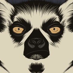 Fusion: The Lemur Moon