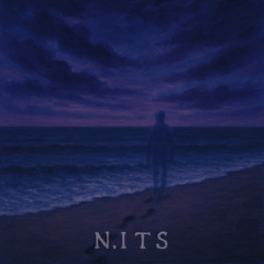 N.I.T.S