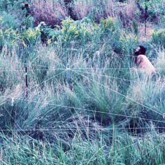 Vesper Sparrow (feat. Haruna Lee, James Harrison Monaco, Ronald Peet, and S T A R R (busby))