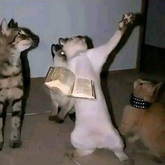 long night ft.yung croc (prod. btg mau)