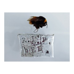 That's Why People Do It