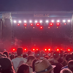 A Liar (House Remix)