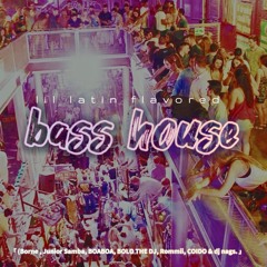 lil latin flavored bass house - (Borne , Junior Samba, BOABOA, BOLO THE DJ, Rommii, COIDO & dj nags)