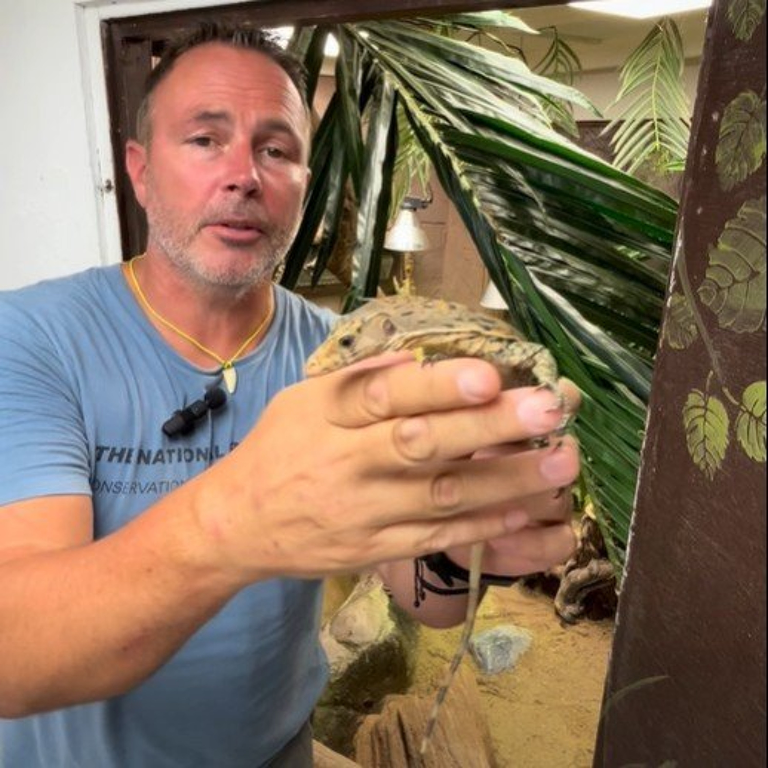 The KCLR Daily: James Hennessy on 'virgin births' at Kilkenny based National Reptile Zoo (14th August 2026) episode artwork