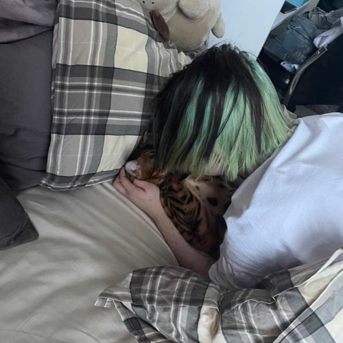 Sqwore - Жвачка