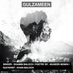 Gulzameen #singer Shamim gomazi #poetry muneer momin #guitarist Khan baluch #