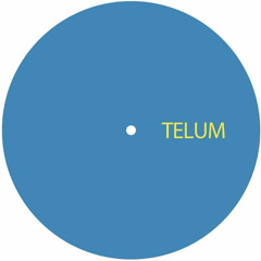 TELUM014 -Unknown Artist - Untitled A1