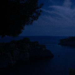 Leaf w/ Mahir & kazvelvetskin (Out on spotify)