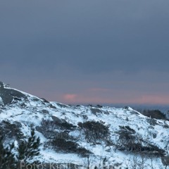 Apexety - Snow s h i n e 2025 Woman