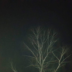 well-known foreigner