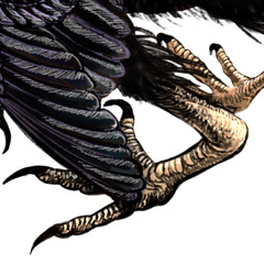 archaeopteryx ancient bird time dial prod the baobab tree