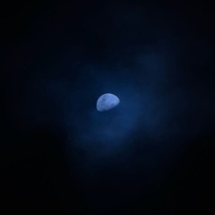 Jump to change - Hard Bounce set