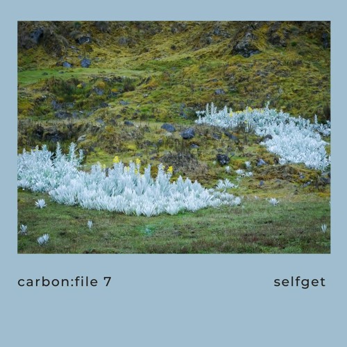 carbon:file 7 - selfget