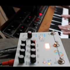 Prophet 10 with Microcosm & Big Sky