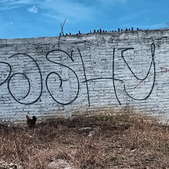 controlando el terreno