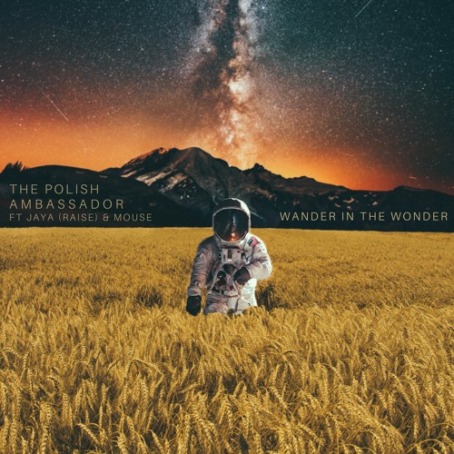 The Polish Ambassador feat. JAYA (Raise)& Mouse - Wander In The Wonder