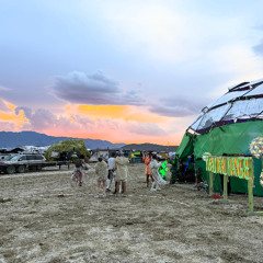 Burning Man 2025, Wed Night @ Fauxliage, Bass House