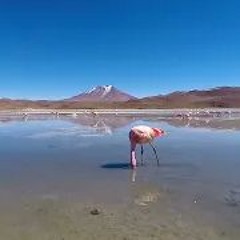 setenv DISPLAY - Smooth