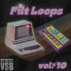 Filt Loops Vol.10 Demo Beat
