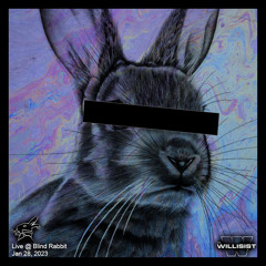 Blind Rabbit - Long Form Live Sets