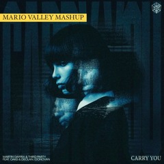 Martin Garrix - Carry You vs. Where Have You Been (Mario Valley Mashup) [Filtered and Pitched]