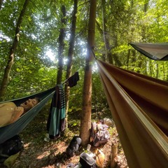 Psytrance | Trance | Electronic