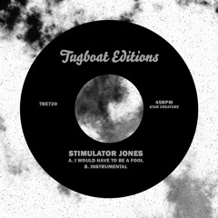 I Would Have To Be A Fool (Instrumental Mix)