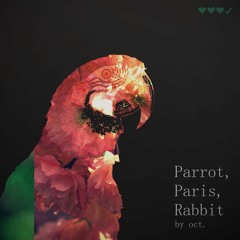 Parrot, Paris, Rabbit