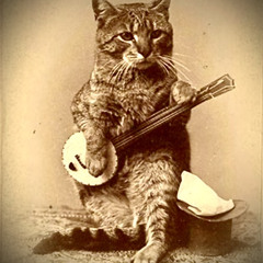 Keep On The Sunny Side - OG BANJO CAT #1 - JTSunrise Mostly Good String Band (Century of Progress)