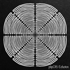 Private Business Podcast 016 -  Echoton