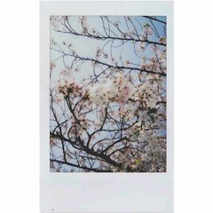 Blossom (Prod. Rivo)