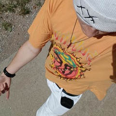 Sky Walkin