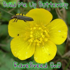 Build Me Up - RareBreed (Sample) DJ DENNY & DJ SUMNER
