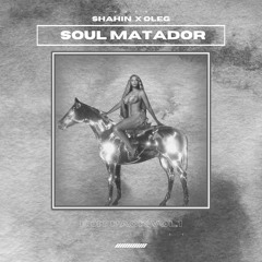 Soul Matador (mashup)